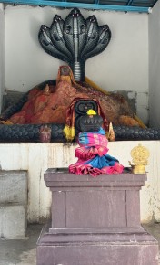 Sri Naga Kaliamman Temple Temple