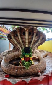 ohm Sakthi Shree Naga Nageswary Amman Alayam Temple